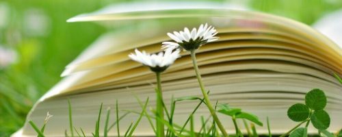 Χωρίς οικονομική παιδεία, οι άνθρωποι δεν μπορούν να μετατρέψουν τις πληροφορίες σε πλούτο