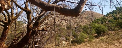 Μία κούνια μόνη…