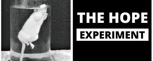 ΠΟΣΑ ΠΑΡΑΠΑΝΩ ΜΠΟΡΟΥΜΕ ΝΑ ΚΑΝΟΥΜΕ ΑΡΑΓΕ;