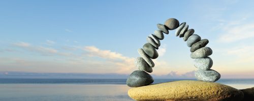 Ο κύκλος της ζωής